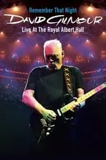 Phil Manzanera interpreta a Self - Twelve-String Acoustic & Electric Guitar en David Gilmour - Remember That Night