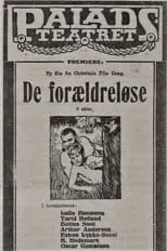 Póster de la película De forældreløse