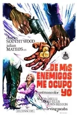 Póster de la película ¡De mis enemigos me ocupo yo!