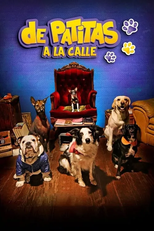 Película De patitas a la calle