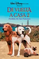 Película De vuelta a casa 2: Perdidos en San Francisco