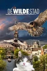 Portada de De Wilde Stad