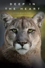 Poster de la película Deep in the Heart: A Texas Wildlife Story - Películas hoy en TV