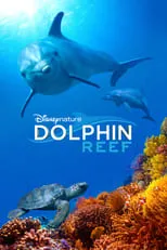 Póster de la película Delfines: La vida en el arrecife