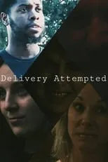 Póster de la película Delivery Attempted