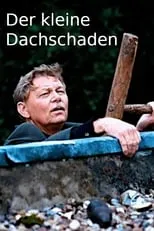 Portada de Der kleine Dachschaden