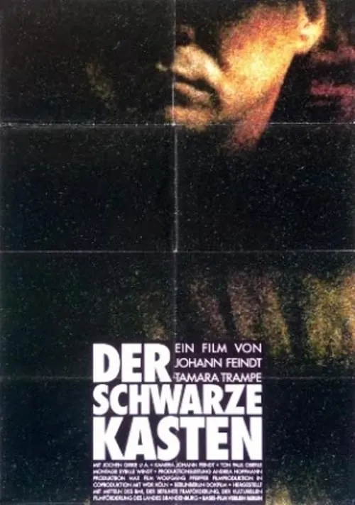 Póster de Der schwarze Kasten