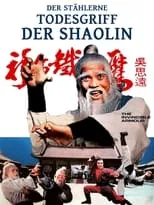 John Liu es Chow Lu Fung en Der stählerne Todesgriff der Shaolin  Martial Arts