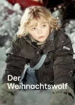 Póster de la película Der Weihnachtswolf