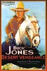 Póster de la película Desert Vengeance