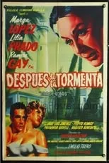 Poster de la película Después De La Tormenta - Películas hoy en TV