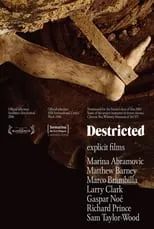 Póster de la película Destricted