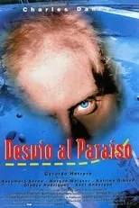 Póster de la película Desvío al paraíso