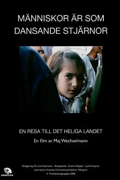 Póster de la película Det heliga landet