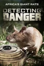 Película Detecting Danger: Africa's Giant Rats