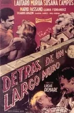 Película Detrás de un largo muro