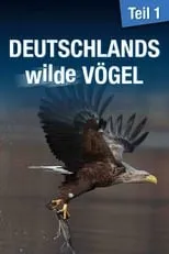 Olaf Pessler es Narrator en Deutschlands wilde Vögel