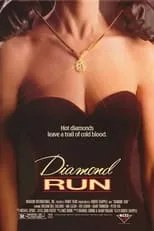 Póster de la película Diamond Run