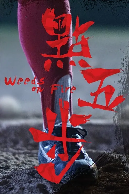 Poster de 點五步