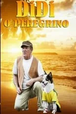 Portada de Didi, o Peregrino