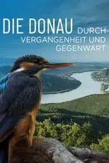 Simon T. Roden es Kommentar en Die Donau – Durch Vergangenheit und Gegenwart