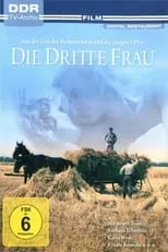 Póster de la película Die dritte Frau