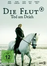 Die Flut - Tod am Deich portada