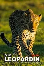 Poster de Die Leopardin