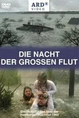 Póster de Die Nacht der großen Flut