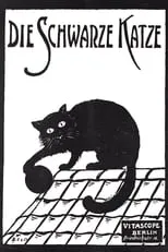 Película Die schwarze Katze 1. Teil