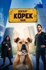 Póster de la película Dikkat Köpek Var