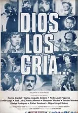 Poster de la película Dios los cría - Películas hoy en TV