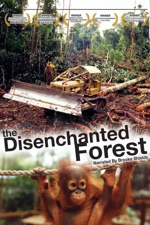 Anne Russon es Herself en Disenchanted Forest