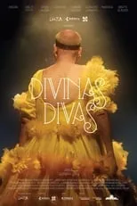 Poster de Divinas Divas