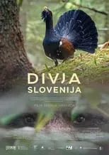 Poster de la película Divja Slovenija - Películas hoy en TV