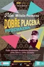 Poster de Dobře placená procházka