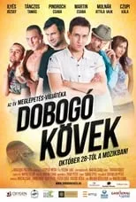 Póster de la película Dobogó kövek