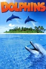 Película Dolphins