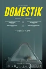 Poster de la película Domestik - Películas hoy en TV