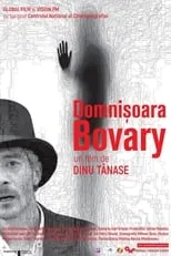 Película Domnișoara Bovary