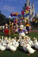 Cathy Boyce en la película Donald Duck's 50th Birthday