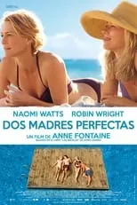 Poster de Dos madres perfectas