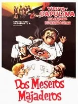 Póster de la película Dos meseros majaderos