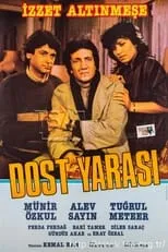 Película Dost Yarası