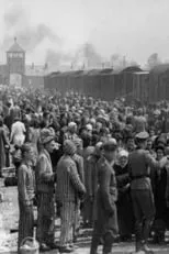 Hans Münch es  en Dr Münch - läkare i Auschwitz