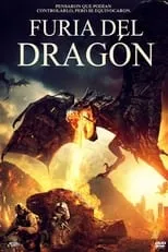 Póster de la película Dragon Fury