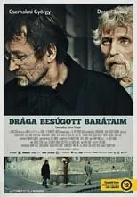 Póster de la película Drága besúgott barátaim