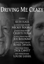 Póster de la película Driving Me Crazy