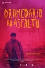 Poster de Dromedário no Asfalto