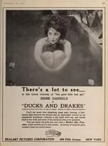 Póster de la película Ducks and Drakes